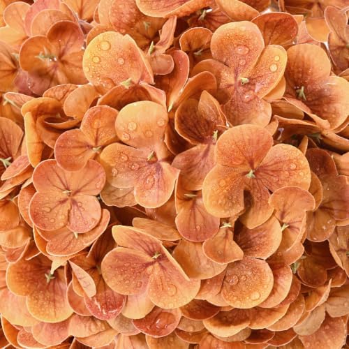 4 Pcs Real Touch Hydrangea Artificial Flowers, 21" Fake Flowers, Brown - Image 4