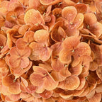 6 Pcs Real Touch Hydrangea Artificial Flowers, 21" Fake Flowers, Brown - Image 4