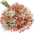 N&T NIETING Babys Breath Artificial Flowers Bulk, 15Pcs, Pink White by NTNIETING