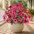 Rose Red Artificial Morning Glory Flowers for Outdoor Planters, Premium UV Resistant Silk Faux Flowers for Porch, Hanging Basket & Window Box, Summer Garden Decor, No Pot, 13.3 Inch, 4 Bundles by UqueetenLtd