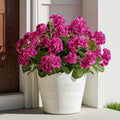 Artificial Geranium Flowers for Outdoors 19.6" Geraniums Artificial Flowers Realistic Faux Geraniums for Outdoor Planters Silk Geranium Indoor Fake Flowers Porch Home Decor No Vase (4PCS，Purple Red) by Unknown