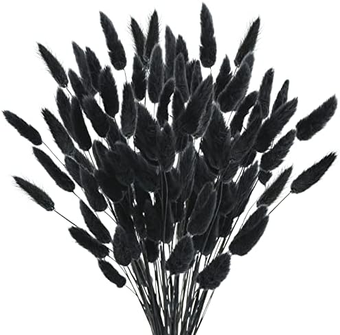 Uieke 17’’ Natural Bunny Tails Dried Flowers, 120 Pcs Dried Lagurus Ovatus, Dried Black Pampas Grass Decor for Farmhouse Flower Arrangements Wedding Home Craft Boho Party Halloween Decorations by Uieke