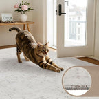 10x14 Area Rugs Living Room: Bedroom Washable Carpet Neutral Cream | Large - Image 9
