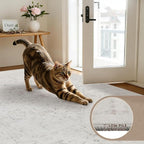 Area Rugs 9x12 Living Room: Bedroom Washable Carpet Neutral Cream | Large - Image 9