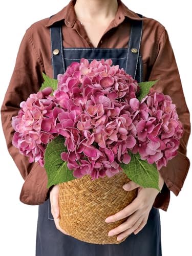 JINWOE Magenta Pink Hydrangea Artificial Flowers, 4Pcs 21” Latex Real Touch Flowers, Full Faux Silk Flowers Fake Artificial Hydrangeas with Stems for Bouquet Table Centerpieces Wedding Baby Showers by JINWOEArtificialFlowers