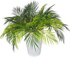 CATTREE Artificial Tropical Palm Plants, Faux Plant Plastic Shrubs Fern Leaves Coconut Tree Fake Bushes for Indoor Outdoor Verandah Office Table Centerpieces Arrangements DIY Decoration - 2 Pcs - Image 2