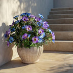 Blue Purple Artificial Morning Glory Flowers for Outdoor Planters, Premium UV Resistant Silk Faux Flowers for Porch, Hanging Basket & Window Box, Cottage Garden Decor, No Pot, 13.3 Inch, 4 Bundles - Image 4