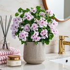 Artificial Geraniums for Outdoors, 8 Stems 17.7 Inch Pinkish White Faux Geranium Bush Fake Flowers UV Resistant Fall Porch Patio Garden Planter Window Box Indoor Decor, Pot Not Included by ENALGRE