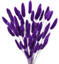 Uieke 17’’ Natural Bunny Tails Dried Flowers, 50 Pcs Dried Lagurus Ovatus, Dried Purple Pampas Grass Decor for Farmhouse Flower Arrangements Wedding Home Craft Boho Party Decorations by Uieke