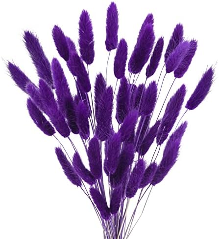 Uieke 17’’ Natural Bunny Tails Dried Flowers, 50 Pcs Dried Lagurus Ovatus, Dried Purple Pampas Grass Decor for Farmhouse Flower Arrangements Wedding Home Craft Boho Party Decorations by Uieke