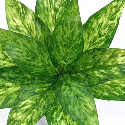 CATTREE Artificial Plants Outdoor Shrubs, Fake Agave Plant Faux Grass Plastic Leaves Greenery Bushes Home Decor Garden Wedding Party Decorations Indoor Yard UV Resistant Planter Filler - Yellow 4 Pack - Image 6
