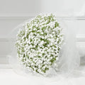 Dolicer 10 Pcs Babys Breath Artificial Flowers White Fake Babys Breath by DolicerLANDSCAPEQ