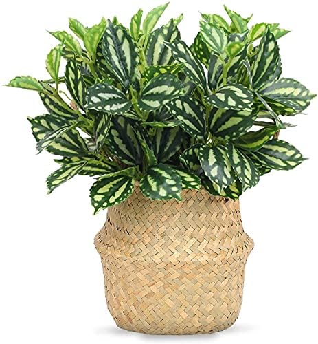 CATTREE Artificial Shrubs, Plastic Plants Speckle Grass Fake Green Bushes Greenery Leaves Wedding Indoor Outdoor Home Garden Verandah Office Table Centerpieces Arrangements Decoration 4 pcs - Image 2