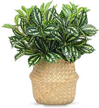 CATTREE Artificial Shrubs, Plastic Plants Speckle Grass Fake Green Bushes Greenery Leaves Wedding Indoor Outdoor Home Garden Verandah Office Table Centerpieces Arrangements Decoration 4 pcs - Image 2