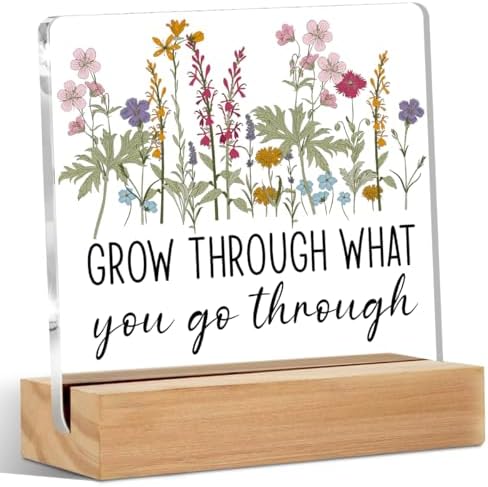 Inspirational Gifts for Women Acrylic Sign Motivational Acrylic Plaque by Unknown