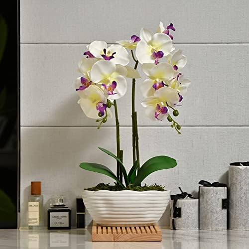 Large Artificial Orchid Arrangement in Oval Ribbed Ceramic Pot, White - Image 6