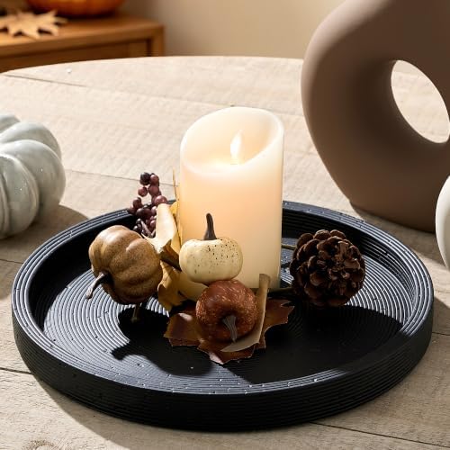 Vanselia Decorative Table Tray Round Trays Home Decor Cement (11.8" Black) by VanseliaHome