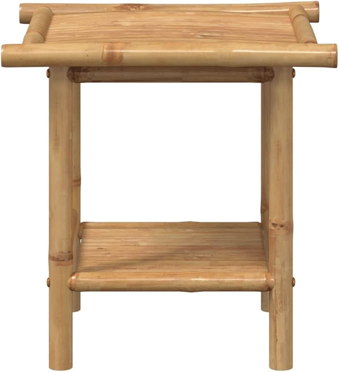 Bamboo Fiber Coffee Table with Storage Shelf, Eco-Friendly Modern Square End - Image 4
