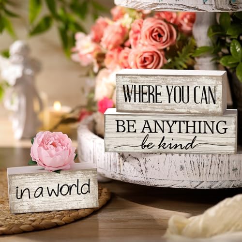 Yuntau 4 Pcs Farmhouse Tiered Tray Decor, Be Kind Block Sign with Flower - Image 6
