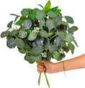 4-Pack Artificial Eucalyptus Stem 16" Faux Greenery Bouquet Berry by YUGALI