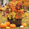 ATTGREAT Artificial Fall Flowers Outdoors UV Resistant Fake Mums Bulk Outside Faux Mums Plants Decorations for Home Garden Porch Hanging Planter Autumn Decor, 12 Bundles (Mix Orange Yellow Fall Red) by WelcometoAttgreatWeHaveAlwaysFirmlyBelievedEndlessBloomsEndlessCreativity