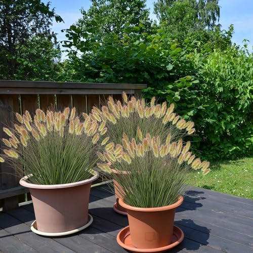 Ttranewsoo Artificial Grass, Fake Grass, Artificial Shrubs, Wheatgrass Cattails Fake Grass Decorations, Artificial Plants, Ornamental Grass, Outdoor Fake Grass, Green Leafy Decorations (12PCS) - Image 5