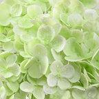 4Pcs Real Touch Hydrangea Artificial Flowers, 21" Fake Flowers, Light Green - Image 3