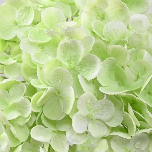 6Pcs Real Touch Hydrangea Artificial Flowers, 21" Fake Flowers, Light Green - Image 4