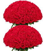 Coferset 50pcs Velvet Artificial Roses Flowers in Bulk,Red by Coferset