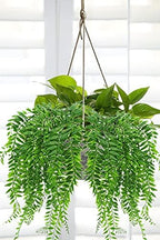 Fake Weeping Willow, Artificial Hanging Plants Plastic Greenery Leaves Plant Faux Vine Hanging Vines Ivy Garland for Home Indoor Outdoor Face Wall Decoration Garden Basket Wedding Party Decor - 4 Pcs - Image 2