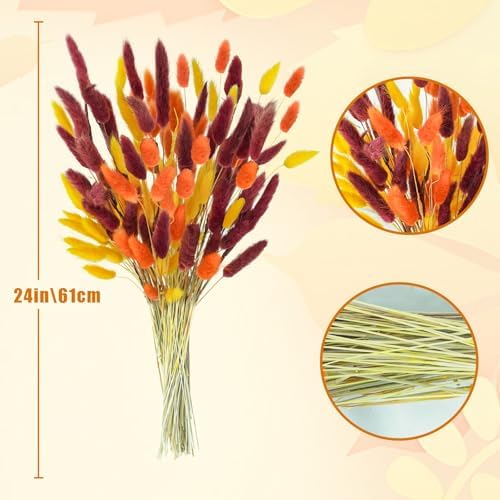 Uieke 240 Pcs Bunny Tails Dried Flowers, 17'' Natural Dried Pampas Grass Decor, Yellow Burnt Orange Burgundy Reed Grass Bouquet for Boho Wedding Home Party Fall Decorations - Image 2