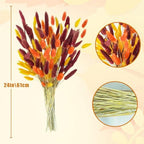 Uieke 240 Pcs Bunny Tails Dried Flowers, 17'' Natural Dried Pampas Grass Decor, Yellow Burnt Orange Burgundy Reed Grass Bouquet for Boho Wedding Home Party Fall Decorations - Image 2