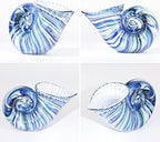 Hand Blown Glass Shell Decoration, Art Glass Conch Sculpture, Colorful Shell Statue for Room Office Coffee Table Living Room TV Stand Cum Home Decoration. - Image 5