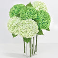 8Pcs Real Touch Hydrangea Artificial Flowers, 21" Fake Flowers, Mixed Green by Yastouay