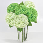 8Pcs Real Touch Hydrangea Artificial Flowers, 21" Fake Flowers, Mixed Green by Yastouay
