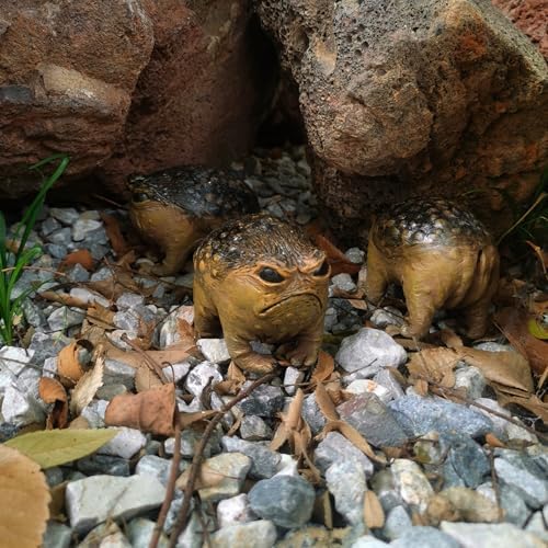 MOLMH Weird Queer Grumpy Frog Toad Statue Ugly Angry Outdoor Garden Yard Decor Statue Fun Novelty Home Office Decor Sculpture Unique Gift - Image 4