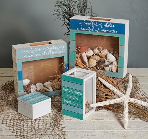 Primitives by Kathy Seashell Holder - Coastal Decor, Glass Display, Treasure Chest, Room and Bedroom Decor - Image 2