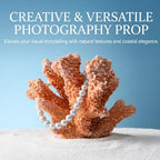 Resin Coral Sculpture, 7.1-Inch Coastal Home Decor - Image 4