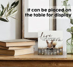 Squirrel Sign - Squirrel Gifts For Women, Live Like Someone Left The Gate Open Wooden Box Signs, Farmhouse Wood Decoration Home Decor For Desk Table Shelf 5x5 Inch - Image 3