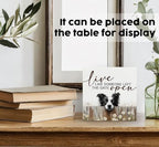 Live like Someone Left the Gate Open Border Collie Wooden Signs,Farm Cottagecore Animal Office Kitchen Bedroom Decor,Rustic Farmhouse Home Decor Signs,Border Collie Gifts for Women - Image 3