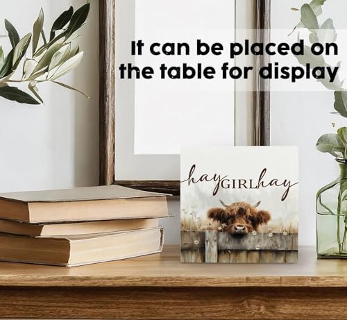 Highland Cow Bathroom Decor Sign - Farmhouse Western Animal Bathroom Decor,Rustic Farm Animal Hay Girl Hay Signs,Highland Cow Gifts for Women Signs & Plaques - Image 3