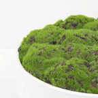 NAHARO New Moss Bowl, Handmade Ceramic Bowl. 11" Artificial Moss Centerpiece for Home Decoration, Living Room, Office - Image 3