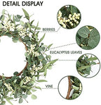 Pinkpum 2 Pack Wreaths for Front Door 20'' Christmas Eucalyptus Wreath, Spring Summer Door Green Wreath for Home Porch Window Wall Farmhouse Home Decor Indoor Outdoor Summer All Seasons - Image 2