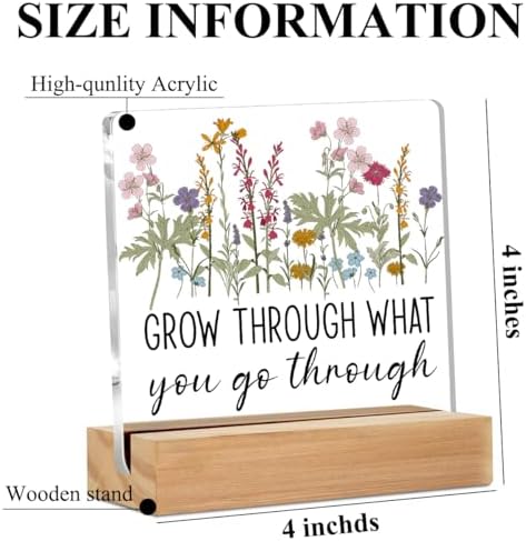 Inspirational Gifts for Women Acrylic Sign Motivational Acrylic Plaque - Image 2
