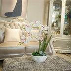 Large Silk Potted Orchid Arrangement in Oval Ribbed Ceramic Pot, White - Image 4