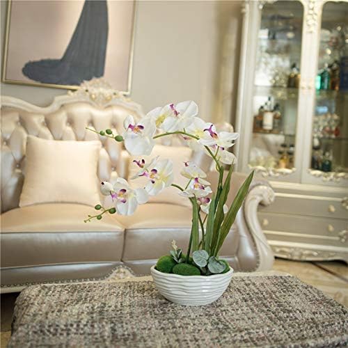 Large Silk Potted Orchid Arrangement in Oval Ribbed Ceramic Pot, White - Image 4