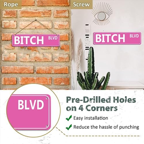 Retro Pink Tin Metal Sign - 'BITCH BLVD' - Bold Statement Decor for Home, Bar, or Dorm - 16x4 Inches - Unique Gift Idea for Friends(B71) - Image 2
