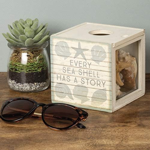 Primitives by Kathy Seashell Holder - Coastal Decor, Glass Display, Treasure Chest, Room and Bedroom Decor - Image 5