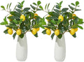 Heleze 6 Pcs Artificial Lemons Tree Branches - Faux Greenery Stems Realistic Lemon Branch with Lifelike Leaves Fake Lemon Plant for Home, Dining Table, Kitchen Decor 18 Inch by Heleze