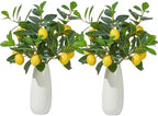Heleze 6 Pcs Artificial Lemons Tree Branches - Faux Greenery Stems Realistic Lemon Branch with Lifelike Leaves Fake Lemon Plant for Home, Dining Table, Kitchen Decor 18 Inch by Heleze